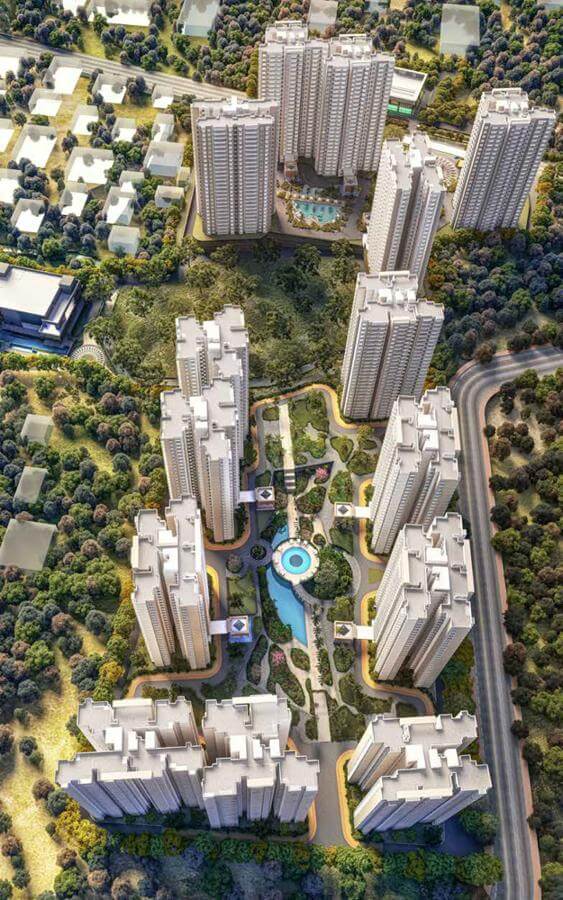 Elevation-J-Prestige-Southern-Star