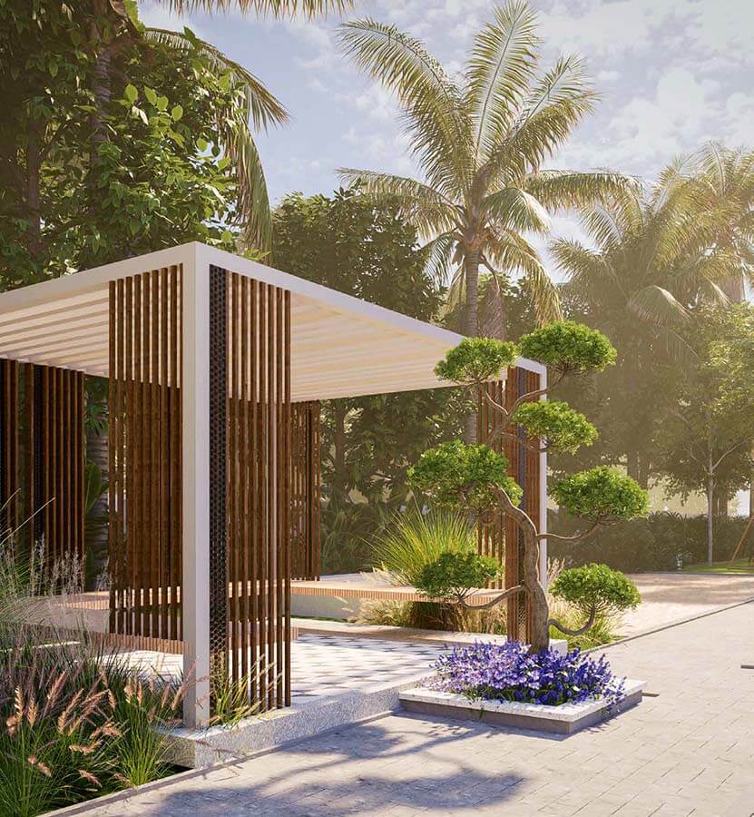 Social-Areas-SNN-Raj-Viviente SNN